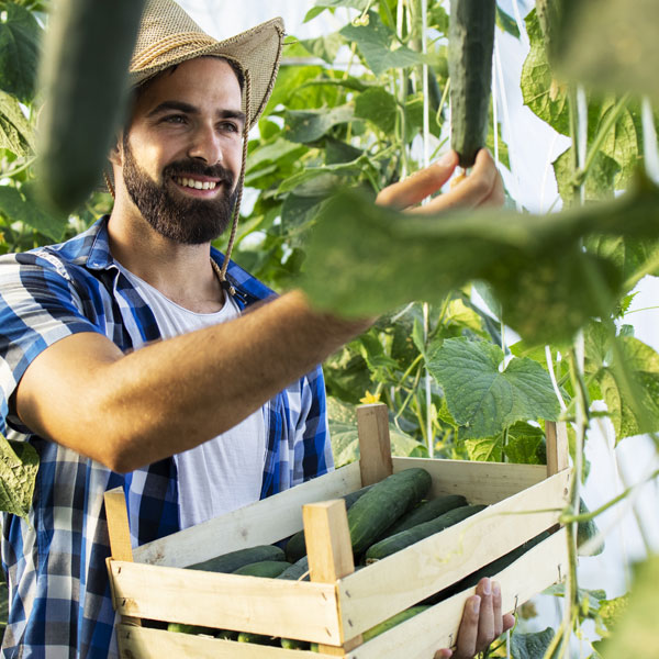 Campo SAR