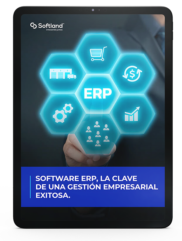 Tapa ebook sistema de gestion ERP