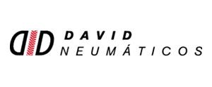 DAVID NEUMÁTICOS S R L