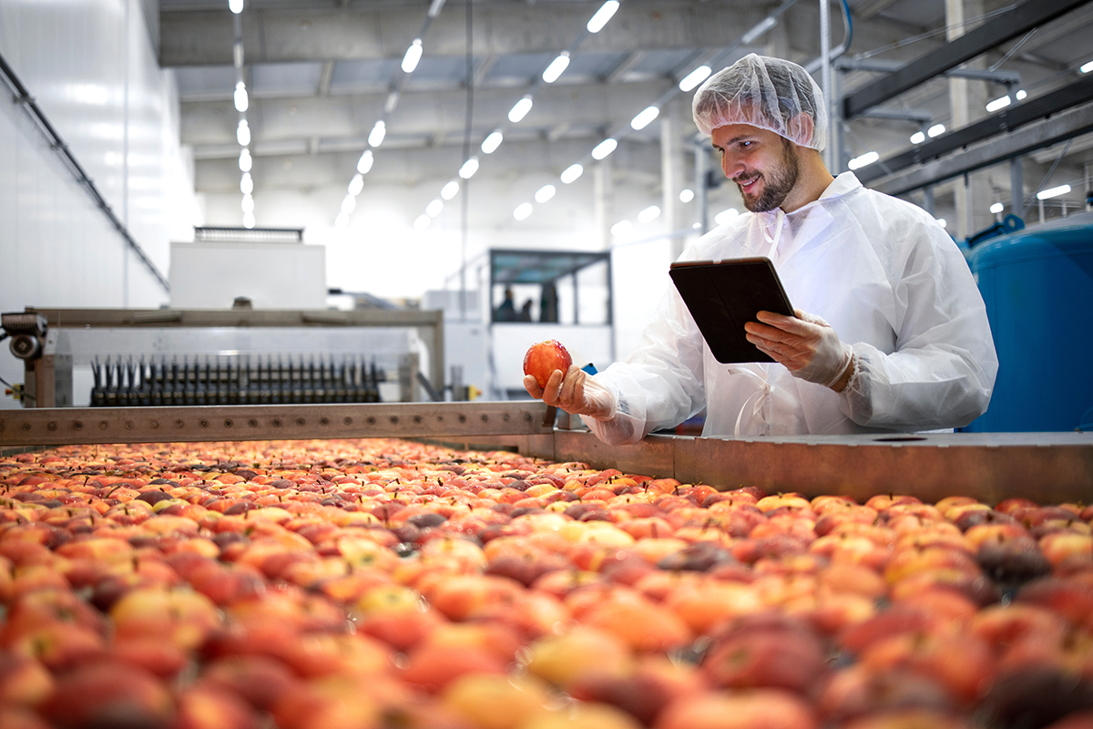Sistema de gestión empresarial para empresas alimenticias