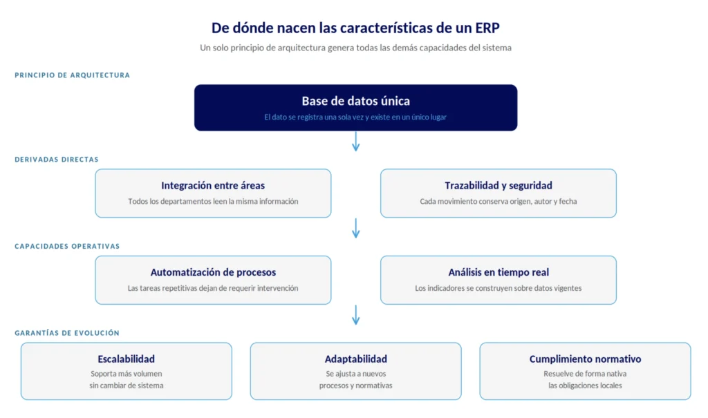 Diagrama jerárquico que muestra cómo la base de datos única de un ERP origina sus demás características esenciales.