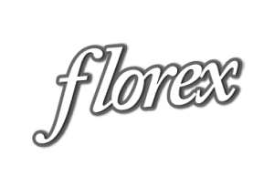 Silvia Chavez <br>Vice Presidenta